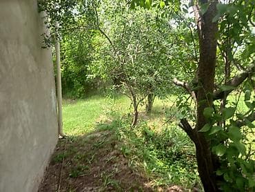 heyet evi: Saatlı Rayon həyət evi qiymət razılaşma yolu ilə — 5