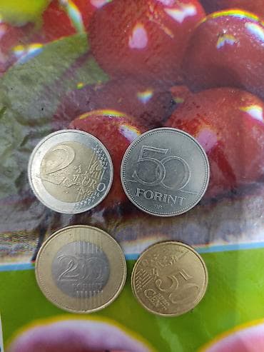 kohne pullari aliram: Mövzu: Xarici sikkələr dəsti – Avro, Forint və Sent Təsvir: - 2 Euro — 1