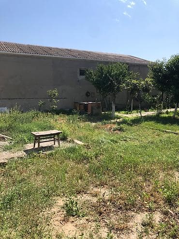 Həyət evləri və villalar: NZS 6 otaqlı, 250 kv. m, Yeni təmirli — 10