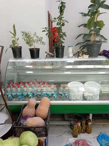 Промышленные морозильники: Soyuduculu vitrin – mağaza/kafeteriya üçün - Ön və üst hissəsi — 1