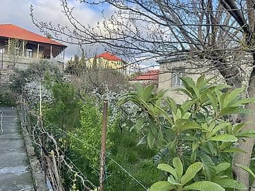 veles agaci: Salam.4.5 sot merkezi yoldan 2 deqiqelik mesafede asfalt — 3