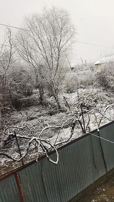 Mənzillər: Kənd təsərrüfatı — 1