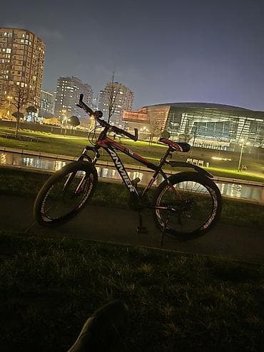 16 lik velosiped: Ideal — 4