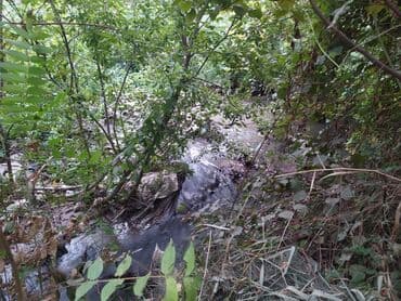 дом на колёсах: 5 комнат, 2500 м², Нет кредита, Без ремонта — 13