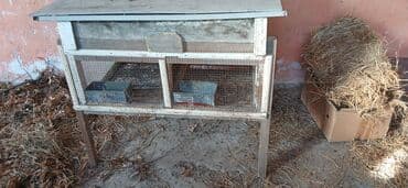 Dovşan üçün ikili qəfəs - Material: taxta karkas, üstü taxta/qalın