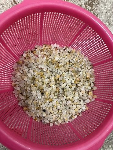 pisik bala: Dördbucaq akvarium, Boş, 6 l, Ünvandan götürmə — 8