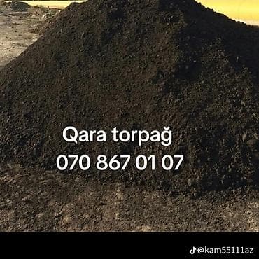 Salam qara torpağ şamaxı ismayilidan gelir ucuz ve keyfiyetli ağac gül lalafo.az -da Salam qara torpağ şamaxı ismayilidan gelir ucuz ve keyfiyetli ağac gül