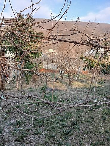 долгосрочная аренда земли: Biznes üçün, Qaz, İşıq, Su — 5