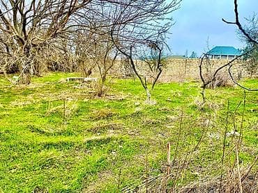 Mənzillər: Tikinti — 1