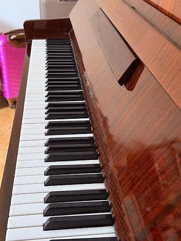 gitara akustik: Piano, Belarus, Akustik, İşlənmiş, Ünvandan götürmə — 4