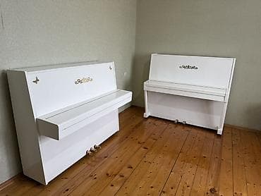Пианино, Беларусь, Акустический — 1