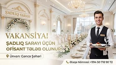 qar tekeri: Ofisiant tələb olunur, Gündəlik ödəniş — 2