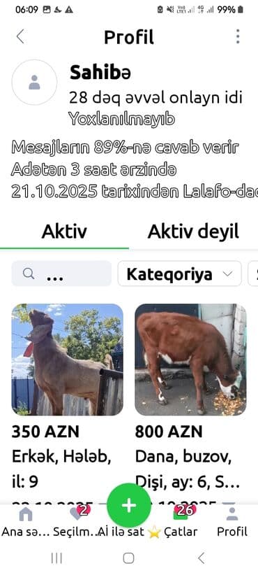 cins inekler azerbaycanda: Salam alekum bu hidusqa satandab 5 hidusqa zakaz etmisik pulu atmisiq — 15