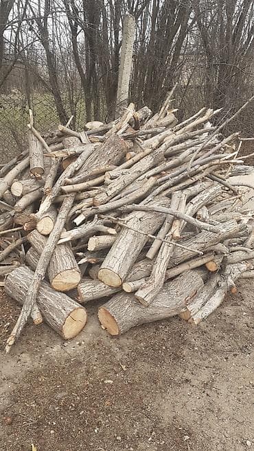 Baklar və çənlər: Ocaq və soba üçün yanacaq odun - Təbii ağacdan kəsilib, müxtəlif — 1