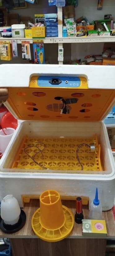 qirqovul satilir: Inkubatorlarin birinci əl satişi unversal inkubator inkubator 196 — 3