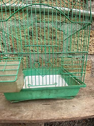qəfəs: Quş qəfəsi – metal karkaslı, yaşıl rəngdə - Material: toz boya ilə — 6