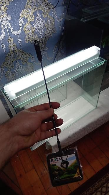 heyvanlar atlar: Şüşə akvarium dəsti - Şəffaf, düz kənarlı şüşədən hazırlanmış — 2