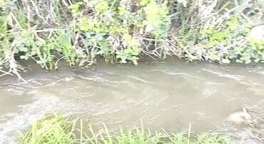 sulutəpə çiçək qəsəbəsi: Göygöl, Çaylı kəndində yerləşən 12 sot torpaq sahəsi. Sənəddə 10 sot — 5