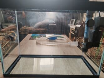 canlı yem: Şüşə akvarium komplekti - Ölçü: 45×20 sm (dikdörtgen forma, geniş ön — 8