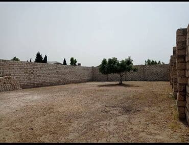 oguz torpaq satilir: 4 sot, Tikinti, Makler, Kupça (Çıxarış) — 5