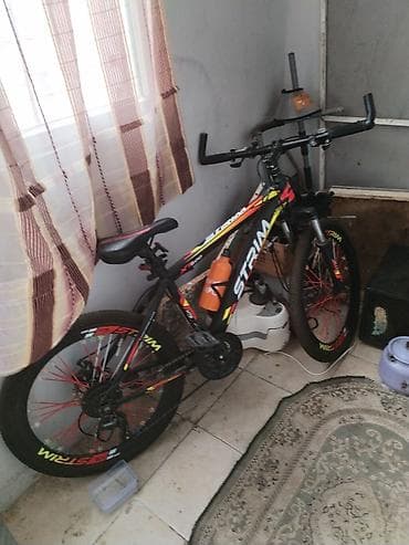 velosiped maşa: STRIM XT300 dağ velosipedi - Çərçivə: yüngül alaşımlı material, idman — 1