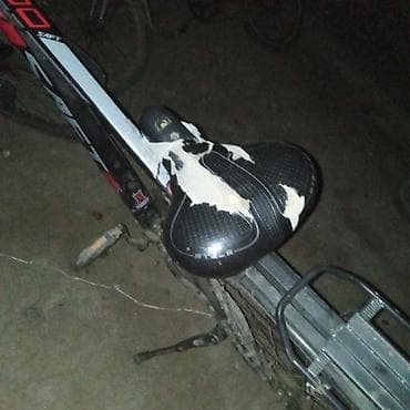 idman trenajoru: SAFT M800 dağ velosipedi. ünvan Masallı rayon birinci Yeddioymaq — 3