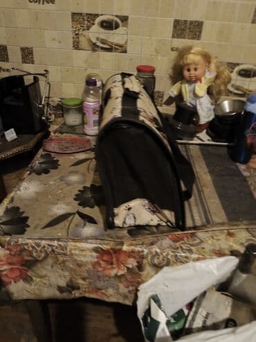 Heyvanlar üçün mallar: Pişik daşıma çantası - Naxış: krem rəngli fon üzərində sevimli pişik — 3