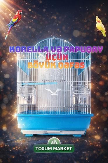 çöl heyvanları haqqında məlumat: 🦜 BÖYÜK ÖLÇÜLÜ PAPUQAY & KORELLA QƏFƏSİ SATILIR! 🦜 Quşlarınızın — 2