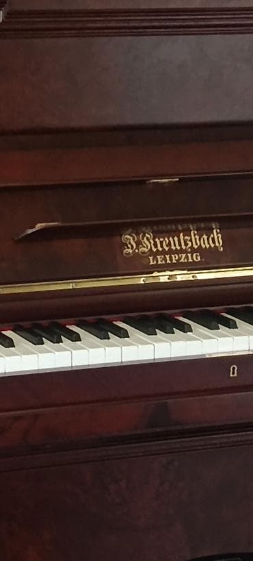 Музыкальные инструменты: Upright pianino – Rönisch Leipzig - Korpus: tünd qəhvəyi/qırmızı — 5