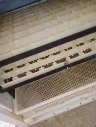 Soyuducu avadanlığı: Generator hediyye verilir!!!Toyuq ucun yalniz 528 yumurta real alici — 6