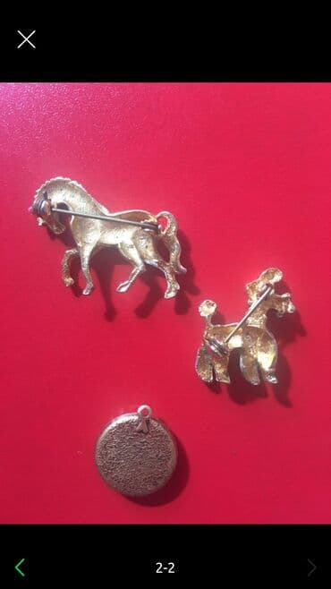 pul yığmaq ucun qab: Sovet vaxtı Pribaltikadan alınmış qaralmayan broşlar. Hər biri 15 azn — 2