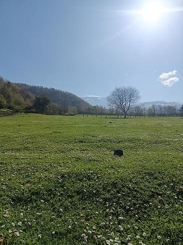 xirdalan kiraye evler 2026: 30 sot, Tikinti, Maklerlər narahat etməsin, Kupça (Çıxarış) — 3
