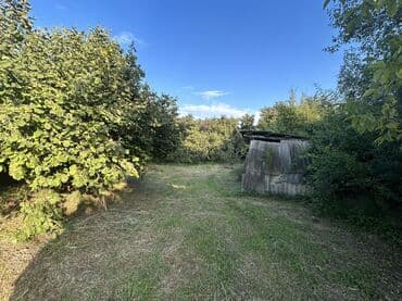 xacmazda findiq bagi satilir: Kənd təsərrüfatı — 2