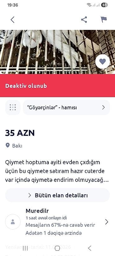 Heyvanlar üçün mallar: Bax bu paylawdigim anasi sosqani taniyun pul atdirib quw gondermir — 5