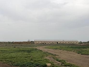 quşçuluq massivi: Kənd təsərrüfatı — 3
