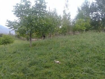 qara qarayev ev: 12 sot, Kupça (Çıxarış) — 10