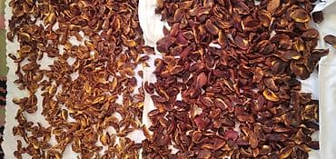 Şirniyyat məhsulları: Tebii ev weraitinde qurudulmuw xurma qurusu 1 kiloqrami 10 manat — 2