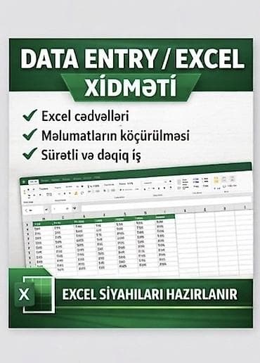 Excel proqramı ilə data entry xidməti göstərirəm. Müxtəlif