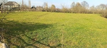 astara rayonu: Tikinti — 1