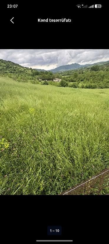 3 sot, Biznes üçün, Barter mümkündür, Kupça (Çıxarış)