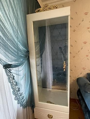 Mağaza avadanlığı: Şüşəli dolab vitrini — 2