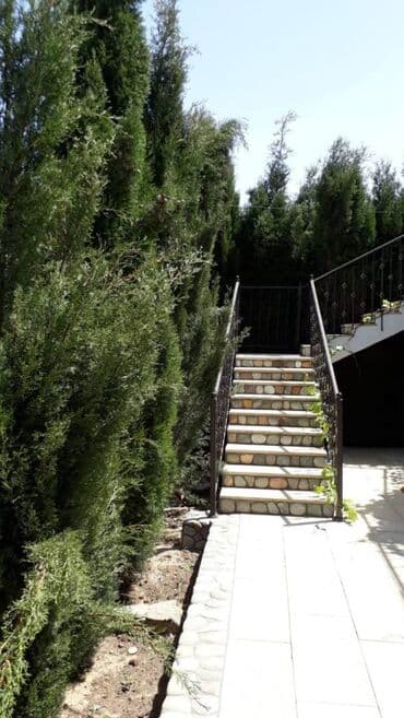 qaracuxurda ev: 200 kv. m, 5 otaqlı — 28