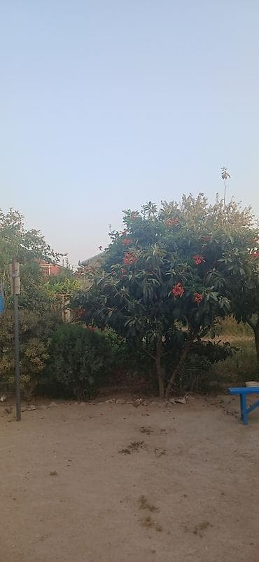 Mənzillər: 4 sot, Tikinti, Maklerlər narahat etməsin, Kupça (Çıxarış), Texniki pasport — 3