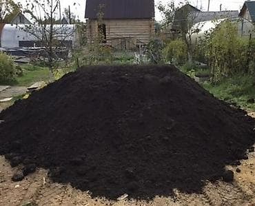 xurma agaci: Qara torpaq – peyzaj və bağçılıq üçün - Qidalı, humusla zəngin qara — 3