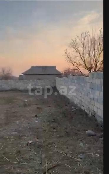 torpaq gəncə: 10 sot, Kənd təsərrüfatı, Kupça (Çıxarış) — 2