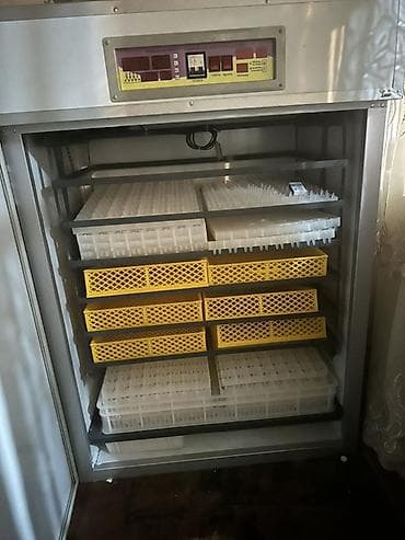 kreditle inkubator satisi: Tam avtomat — 4