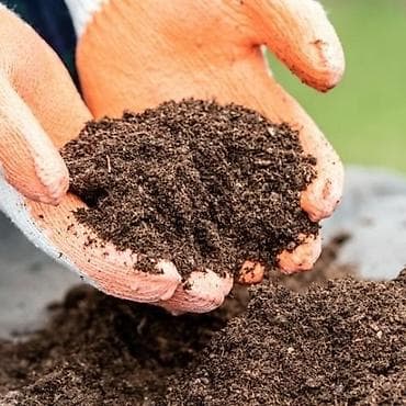 monstera bitkisi: "250L Torf ✔ Perlitli ✔ Ev Bitkiləri üçün ideal ✔ Çatdırılma "250L — 2