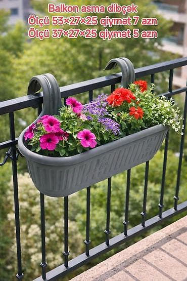 Bitki dərmanları: Balkon asma dibçək - - TəÖlçülər və qiymətlər (şəkildə göstə - — 1