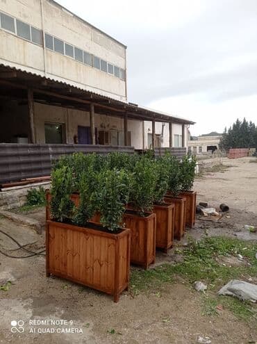 yeddi gozel gulu haqqinda: ♦️Endrim 2025 ▶️İstenilən modeldə dipçəklər hazırlanır. 🌈İstənilən — 1