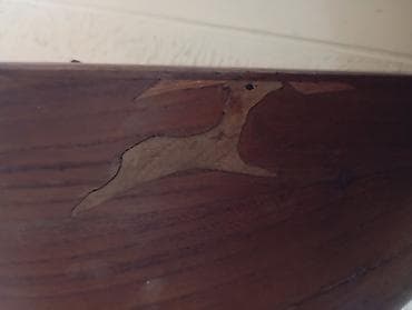 Ovçuluq və balıqçılıq: Saz – əl işidir, tam ağacdan hazırlanmış klassik Azərbaycan xalq çalğı — 3